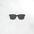 Izipizi Sun Glasses #L: Tortoise Green Brown Lenses
