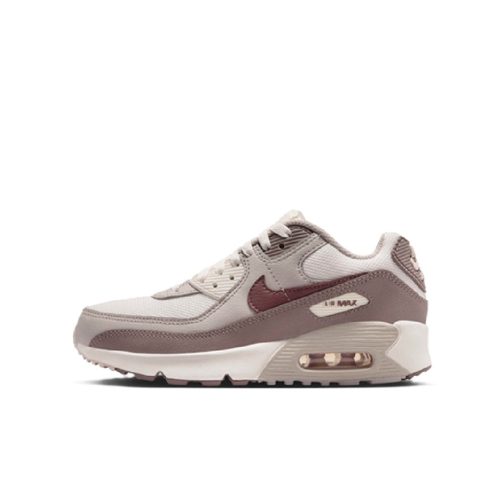 Big Kid's Nike Air Max 90 Mesh Phantom/Tattoo-Moon Particle (IQ0098 003)